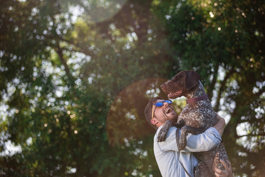 HOW TO GET MY DOG’S COOPERATION FOR CARE?