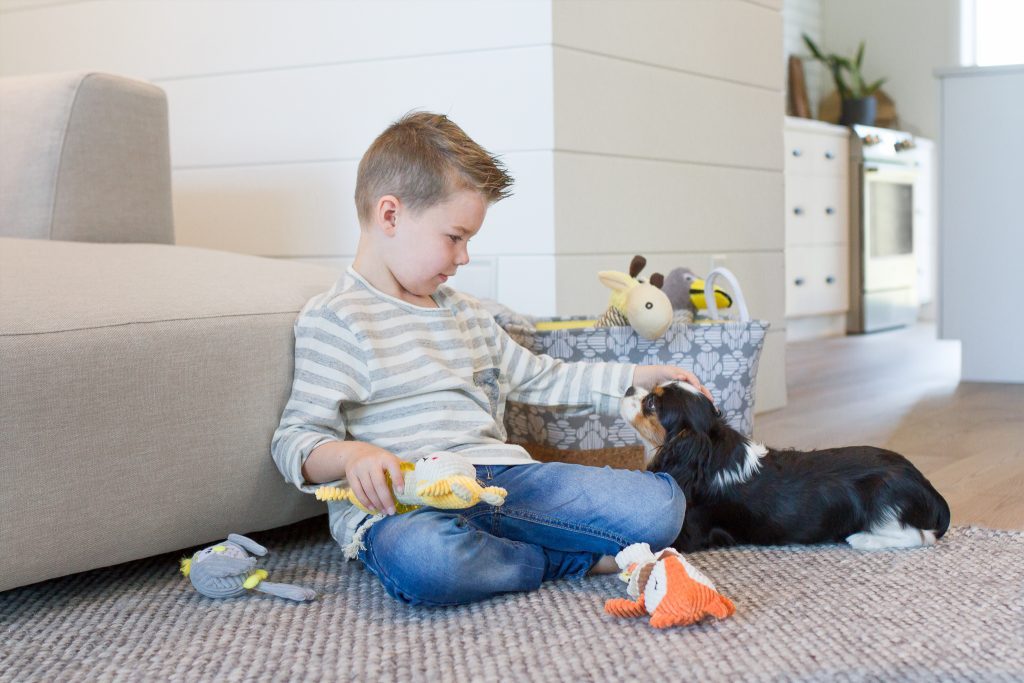 HOW TO PLAY WITH YOUR PUPPY
