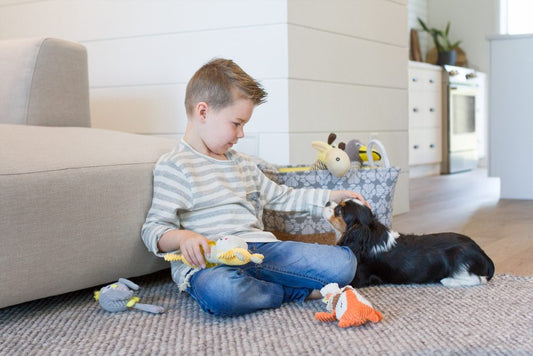 HOW TO PLAY WITH YOUR PUPPY
