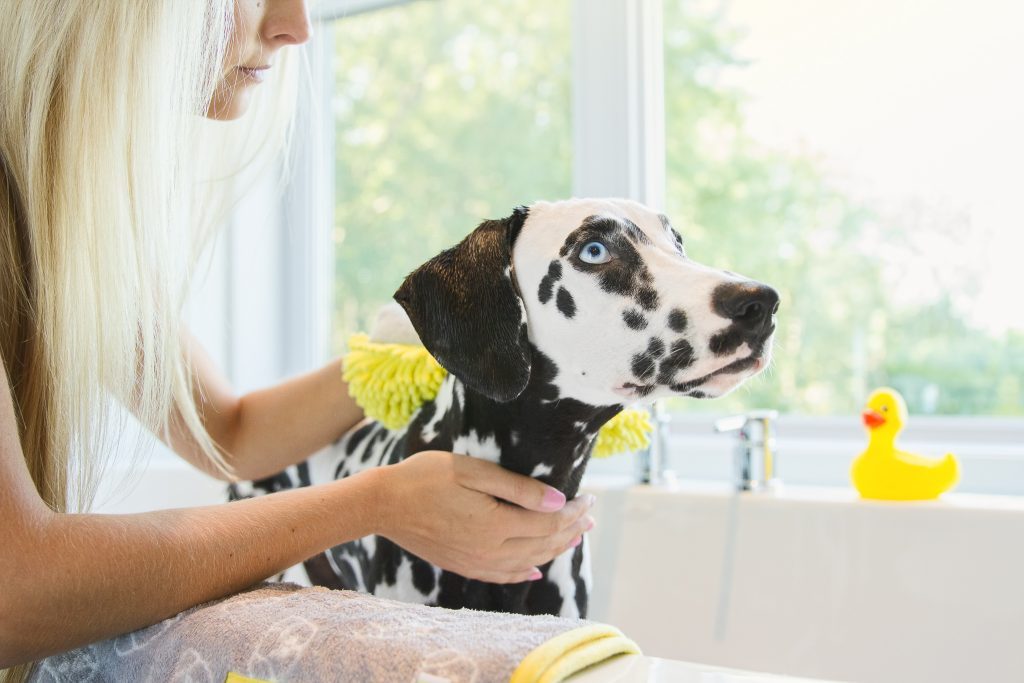 WHY GROOMING IS IMPORTANT