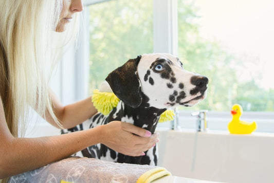 WHY GROOMING IS IMPORTANT