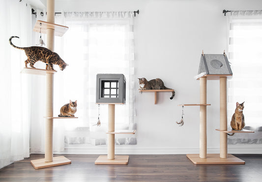 Cat trees, nests and accessories.