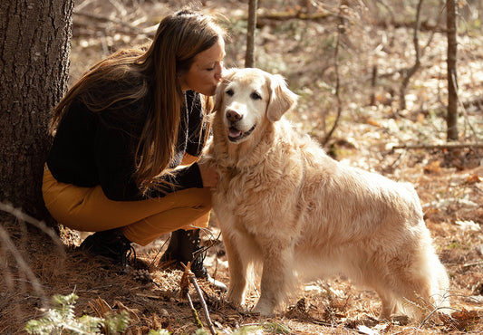 How to Minimize Everyday Toxins for Pets