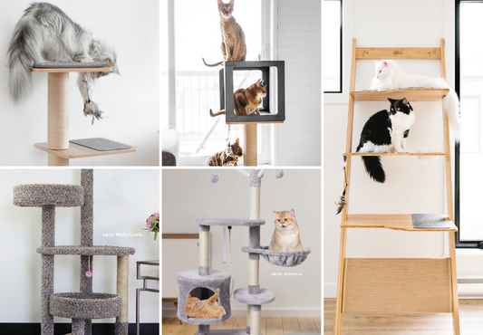 Deciphering the Ideal Cat Tree: comparative guide