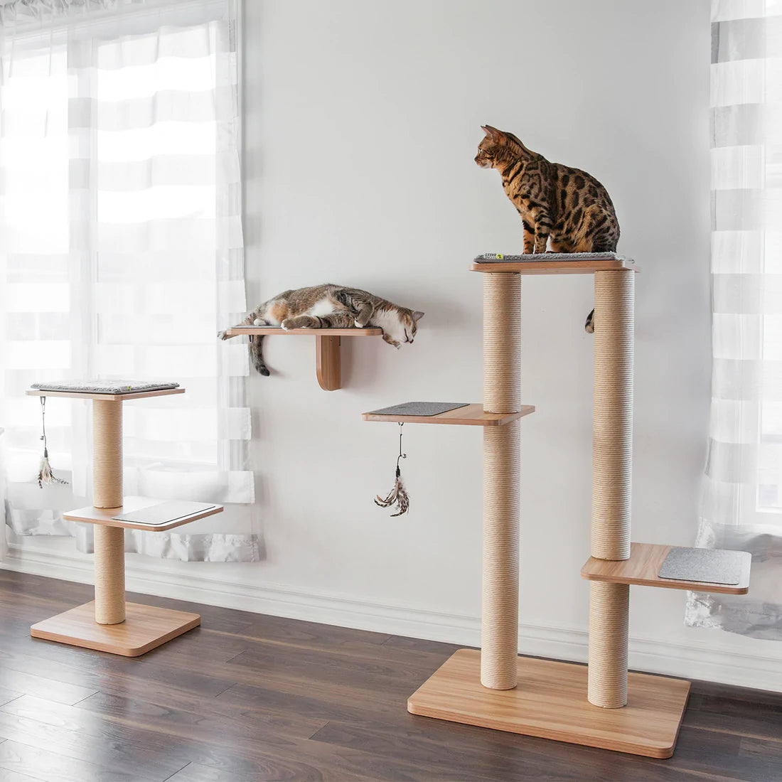 Cat sales tree canada