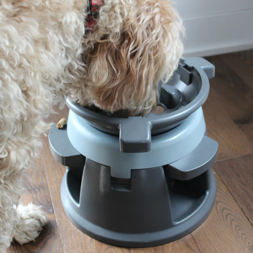 Dog food top control bowl
