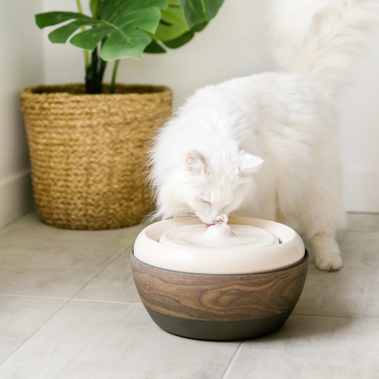 eco friendly water fountain for pet, bamboo