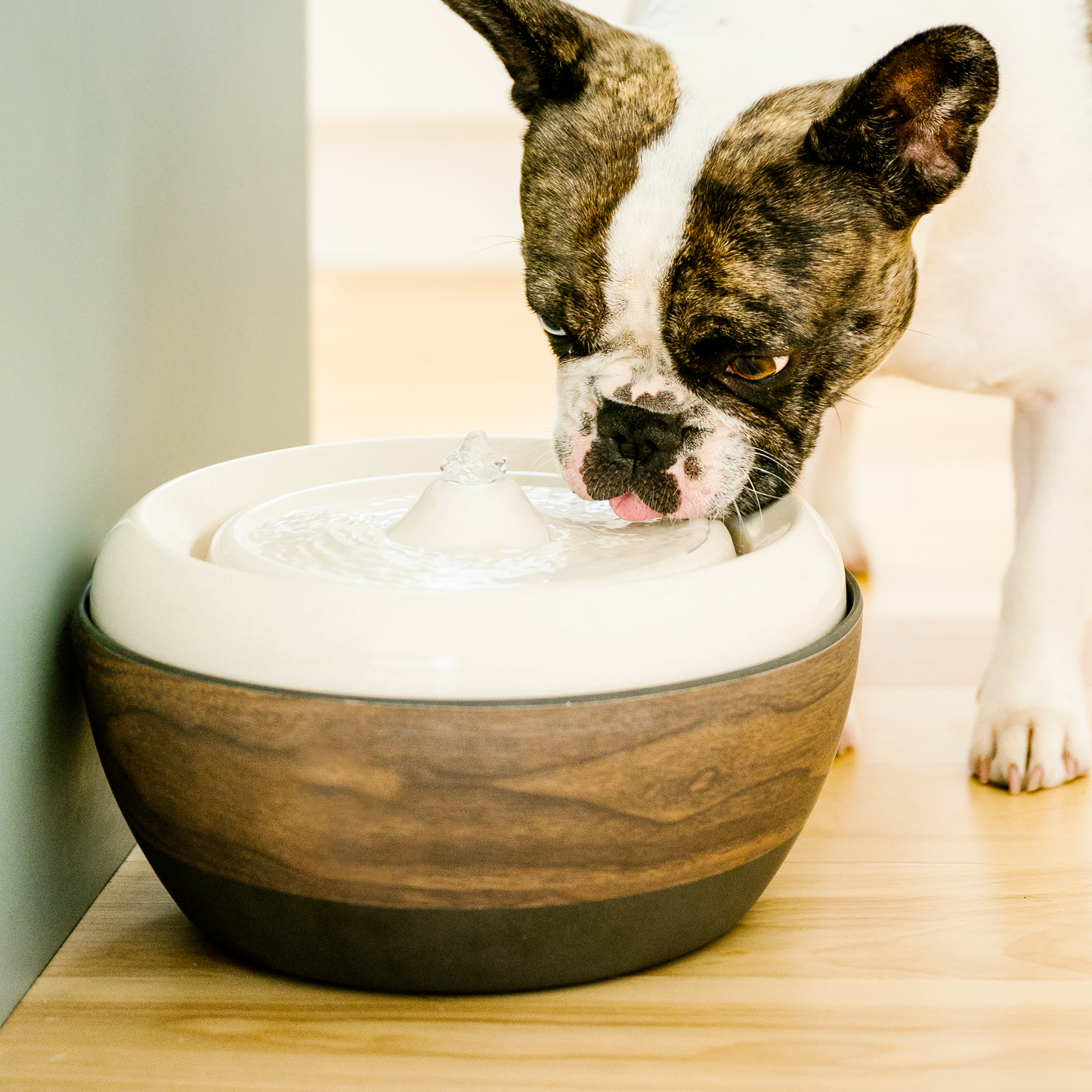 eco friendly water fountain for pet, bamboo