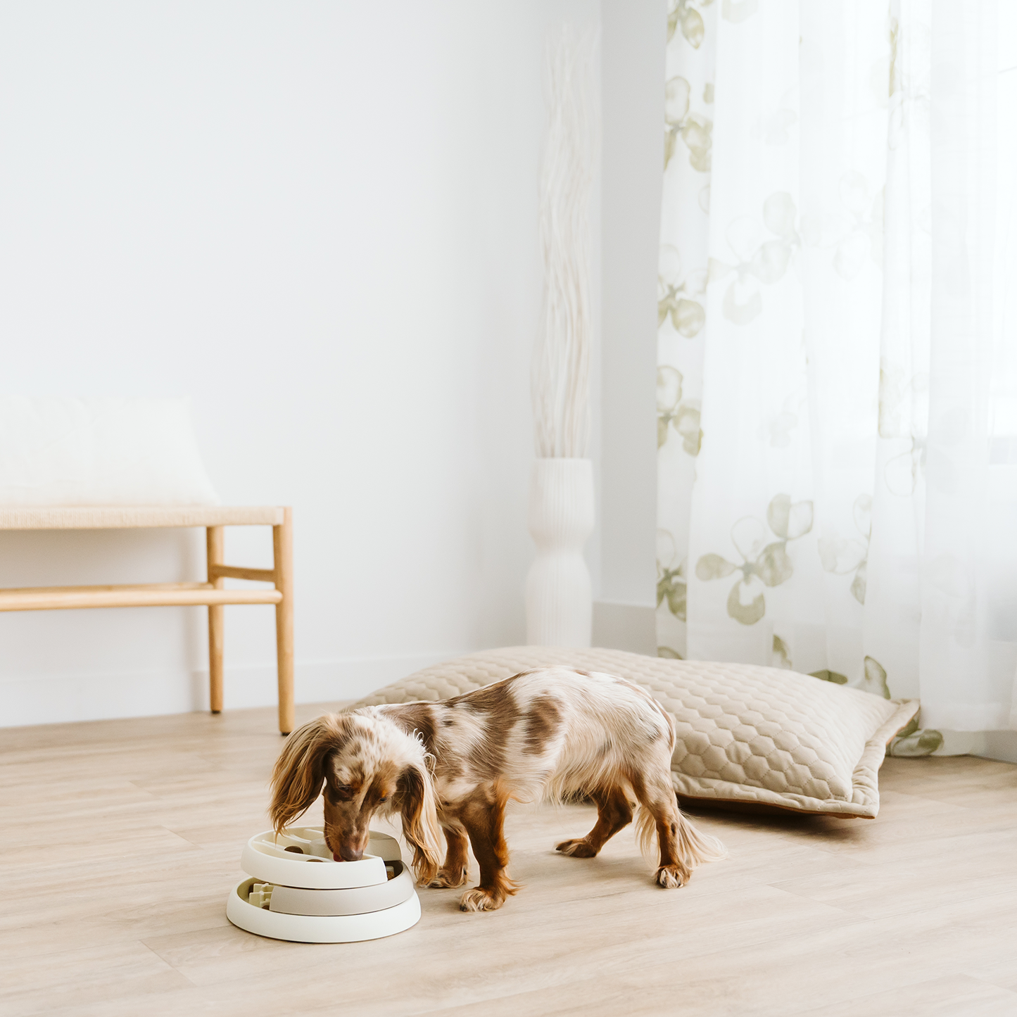 3 stage interactive slow feeder