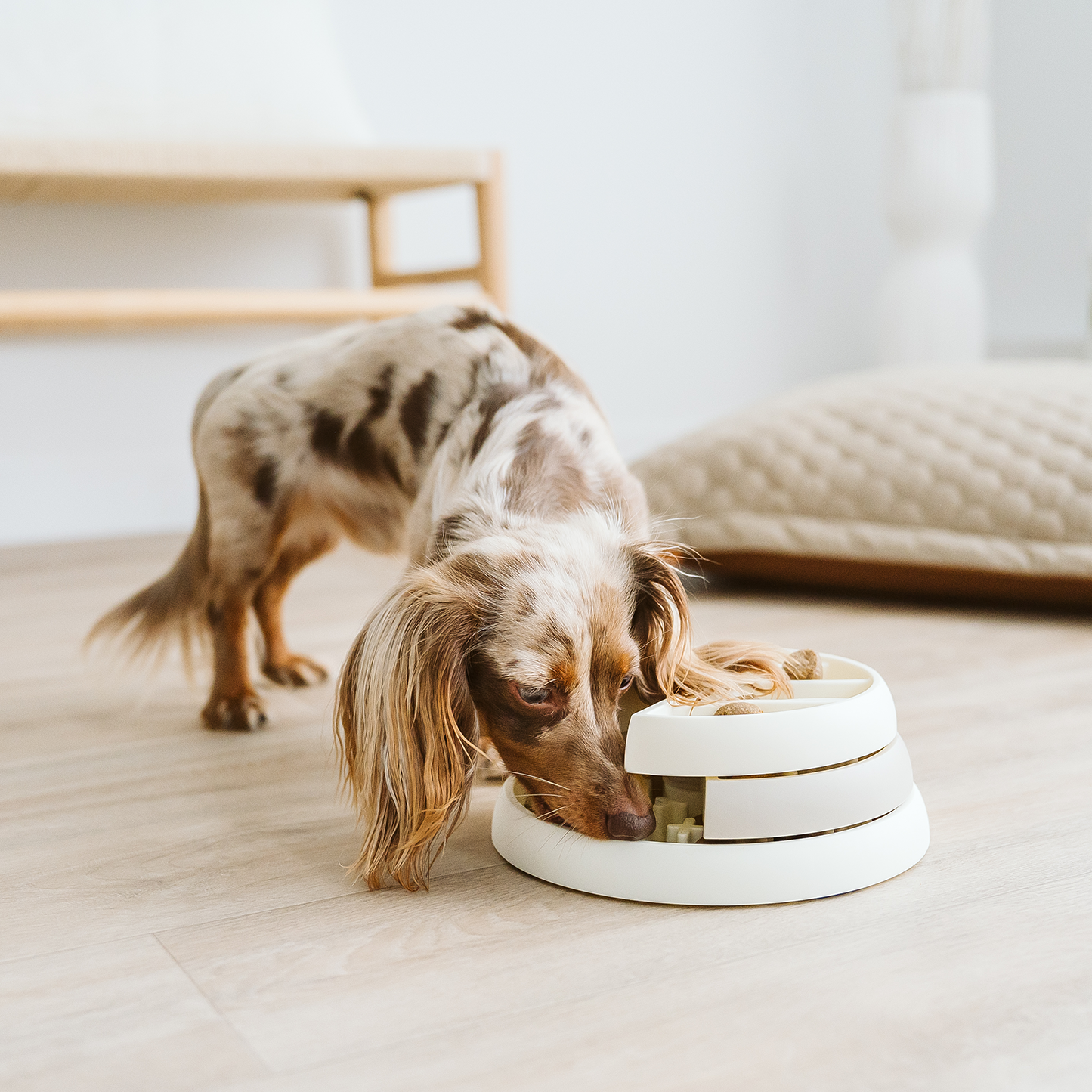 3 stage interactive slow feeder