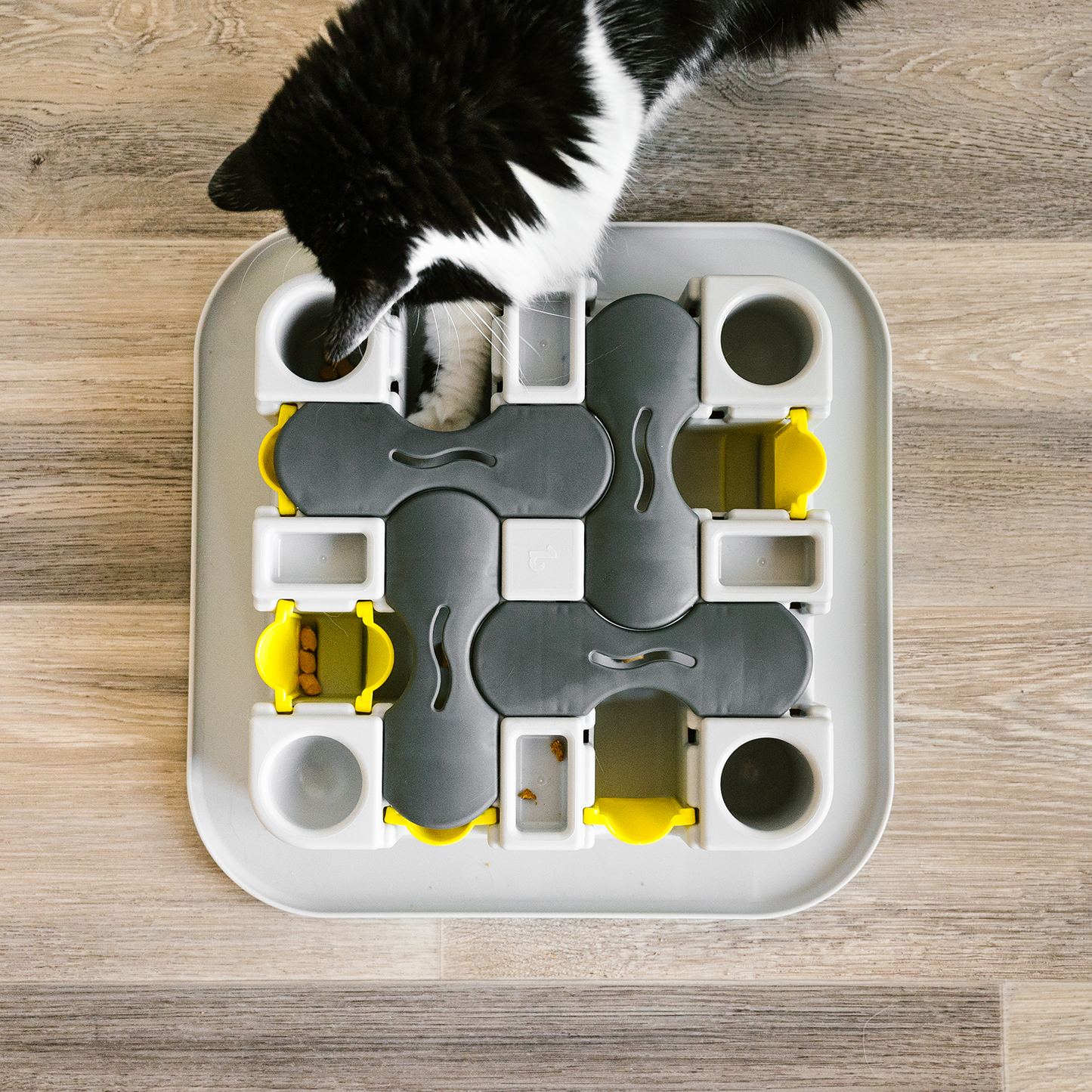 Additional doors for cat maze