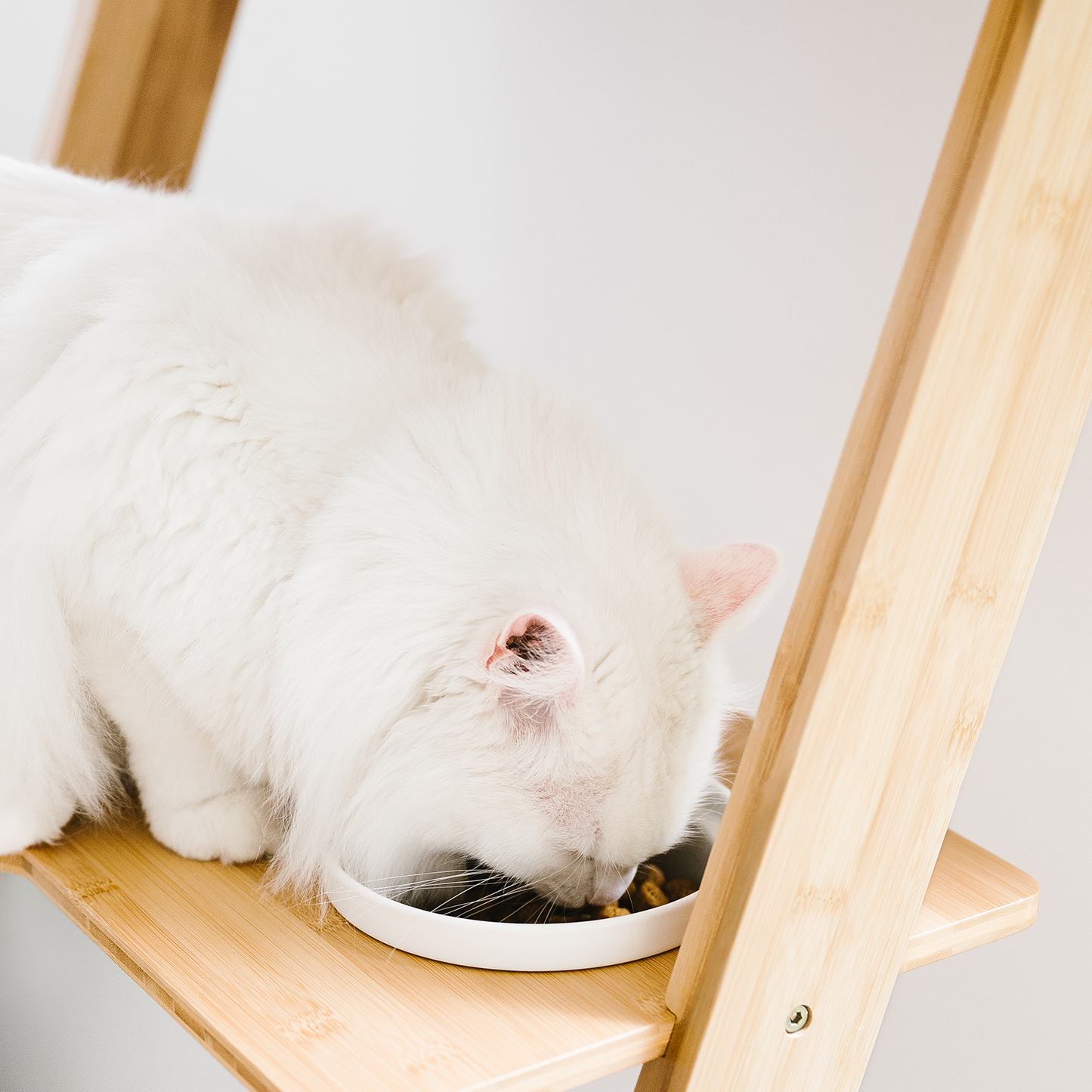 multi-story modern cat tree with accessories, beige wood