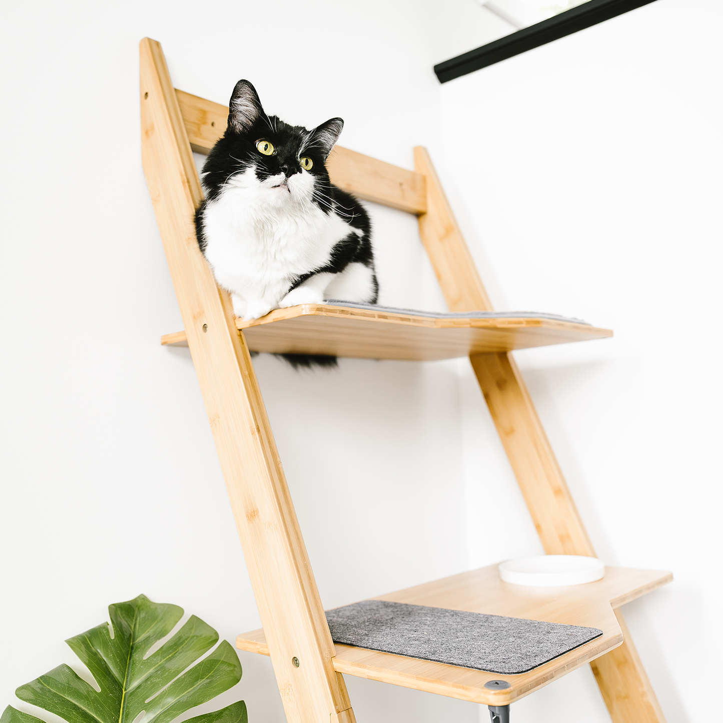 multi-story modern cat tree with accessories, beige wood