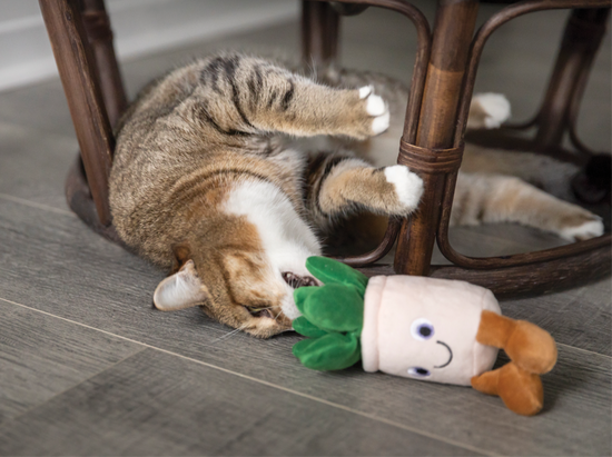 Plush toy for cat, cactus style