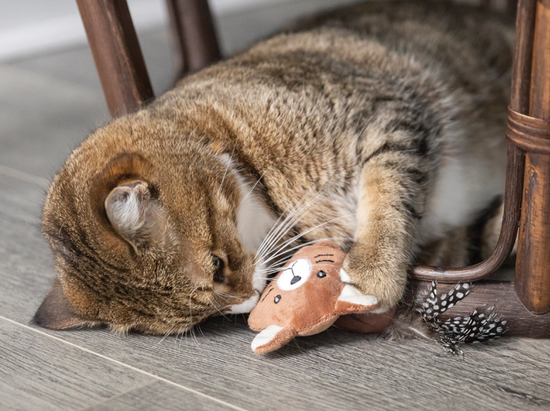 Plush toy for cat, chipmunk style