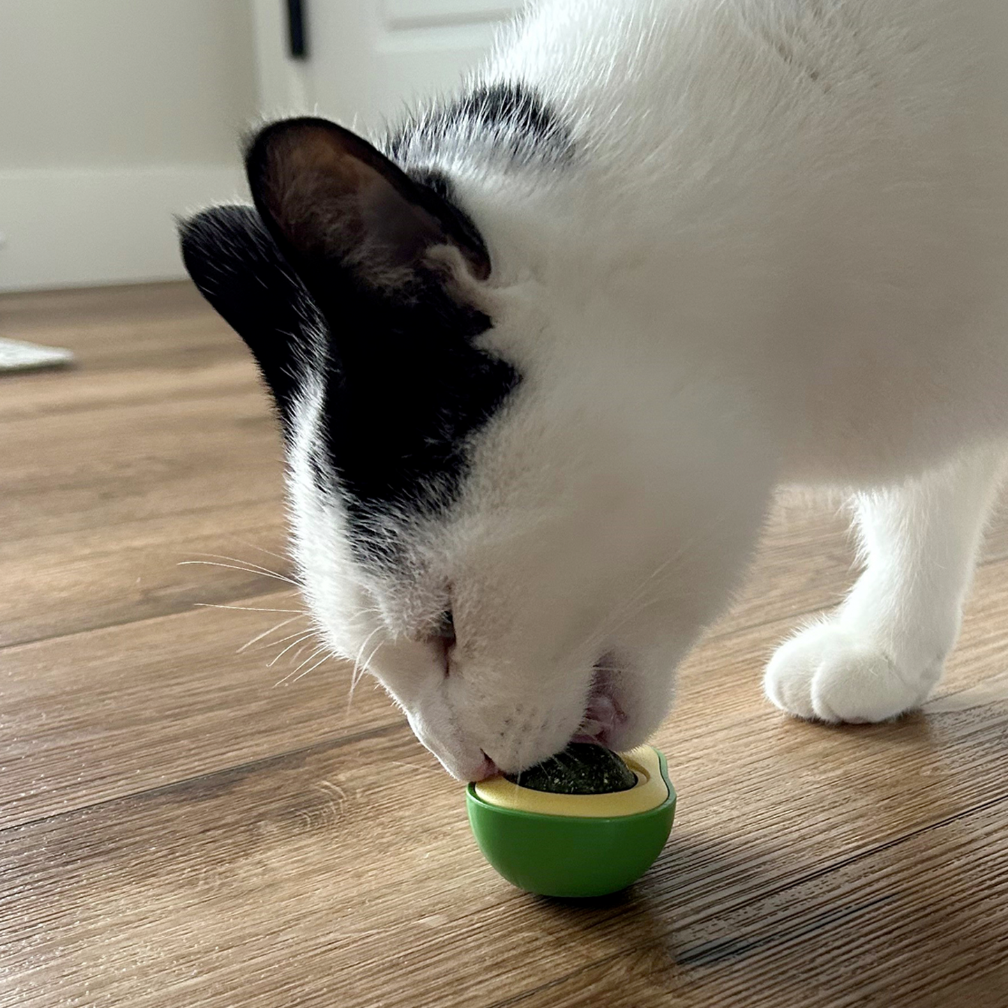 Catnip avocado cat toy