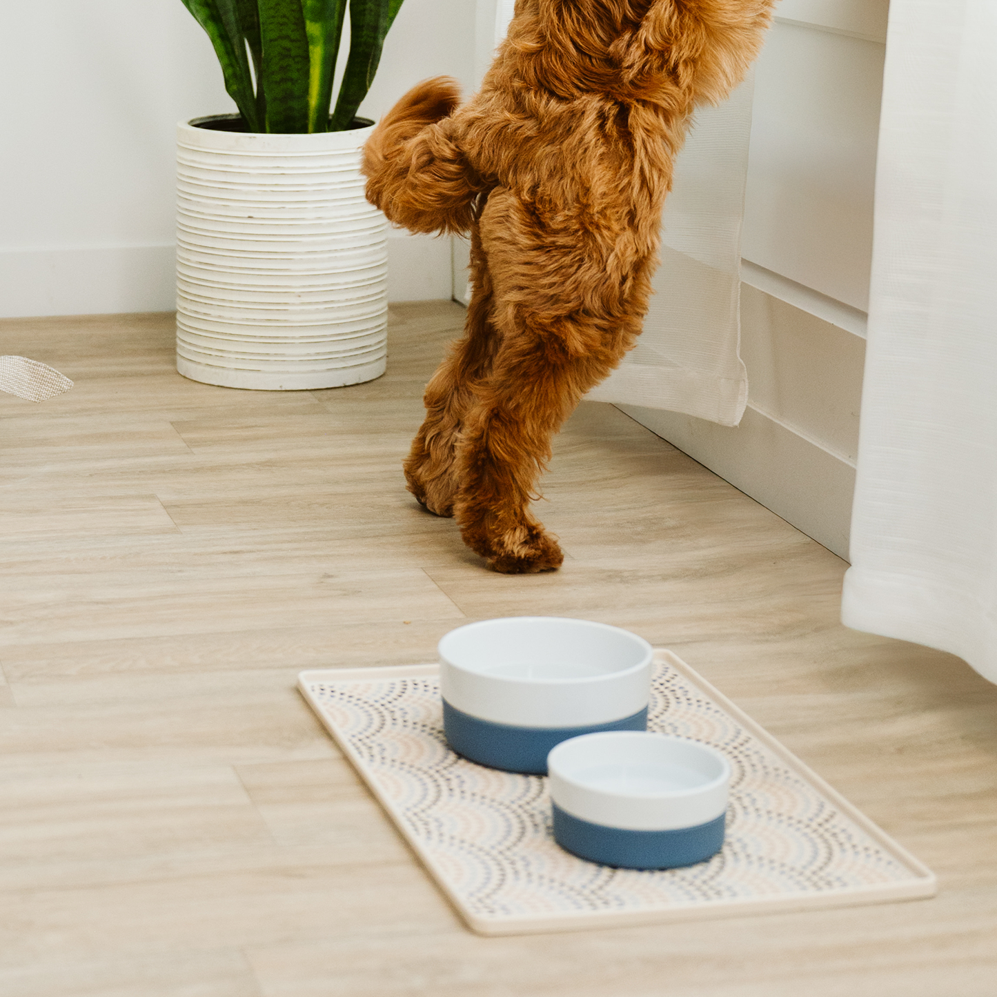 Bol en céramique avec base antidérapante en silicone