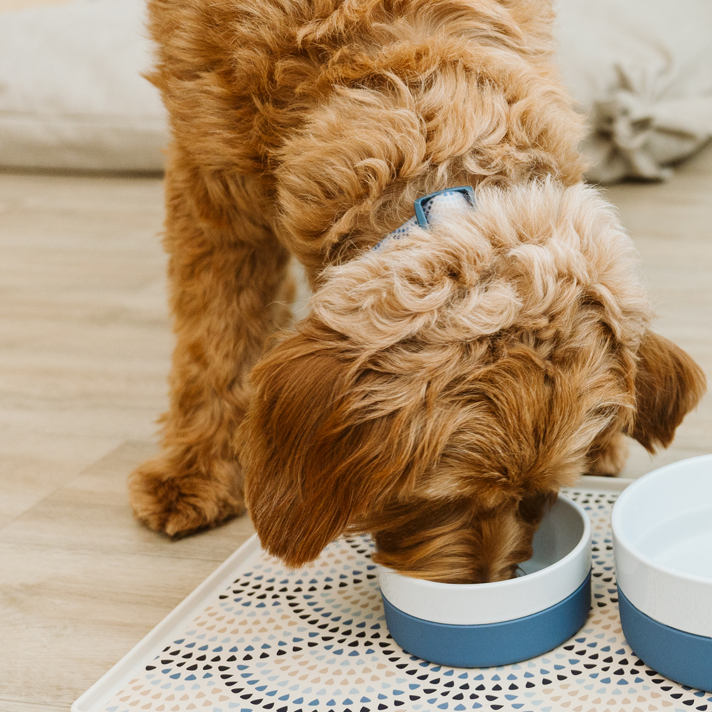 Bol en céramique avec base antidérapante en silicone