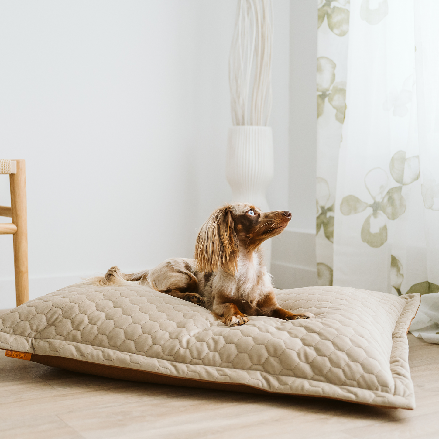 Cloud pillow stylish spare cover, 2 sizes