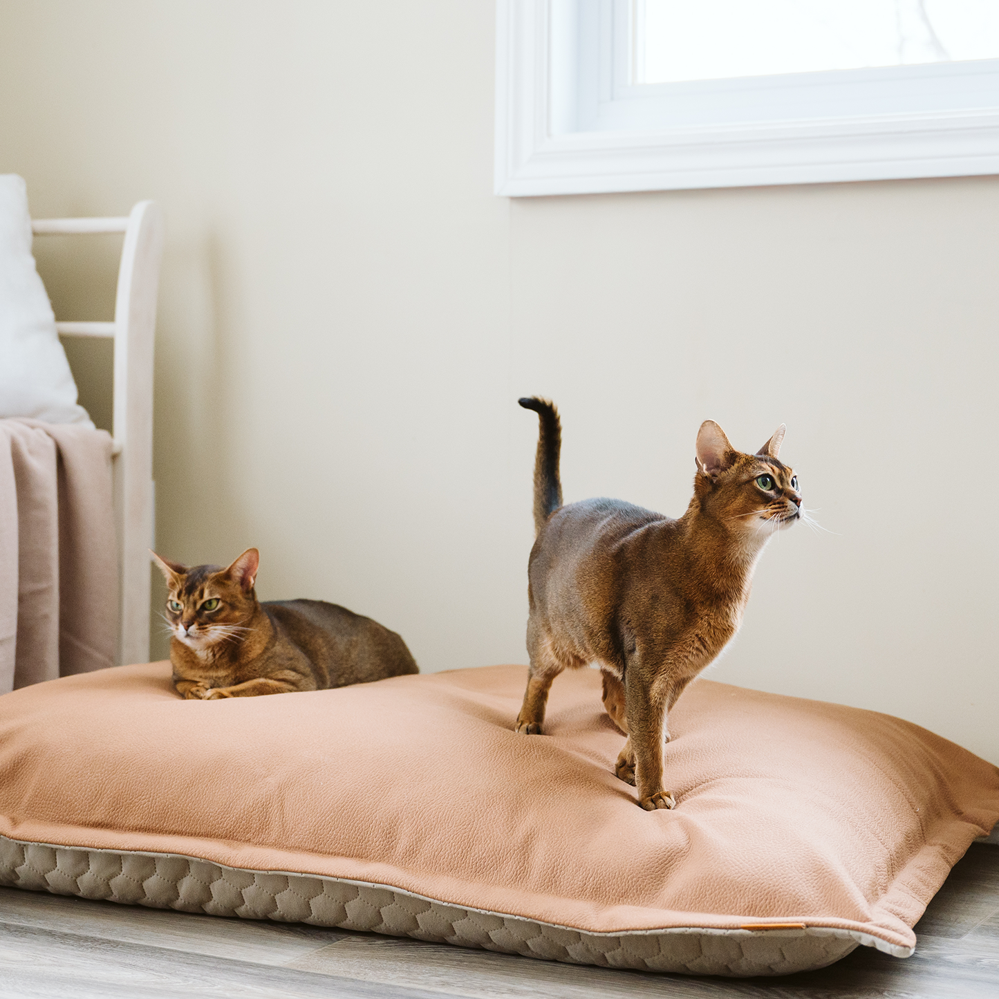 Housse stylisée pour coussin nuage, 2 tailles