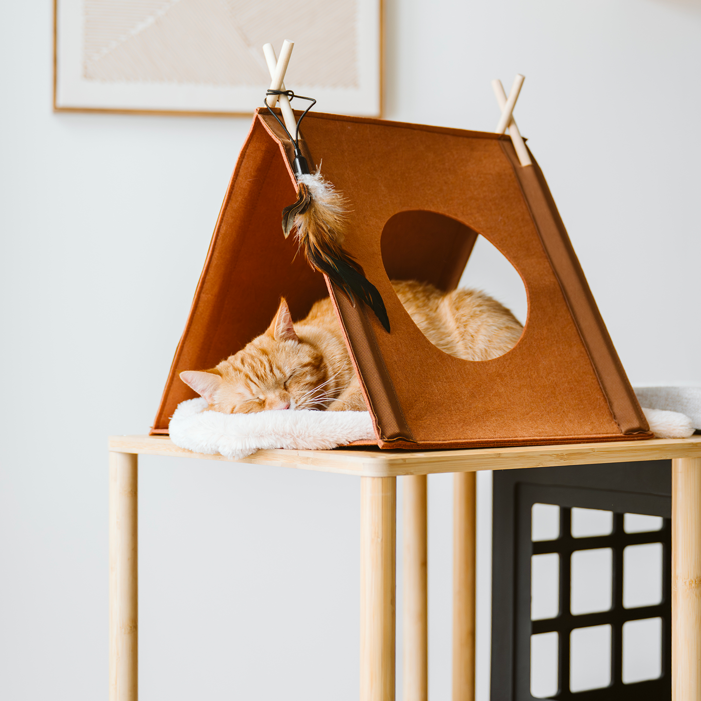 Cozy cat teepee