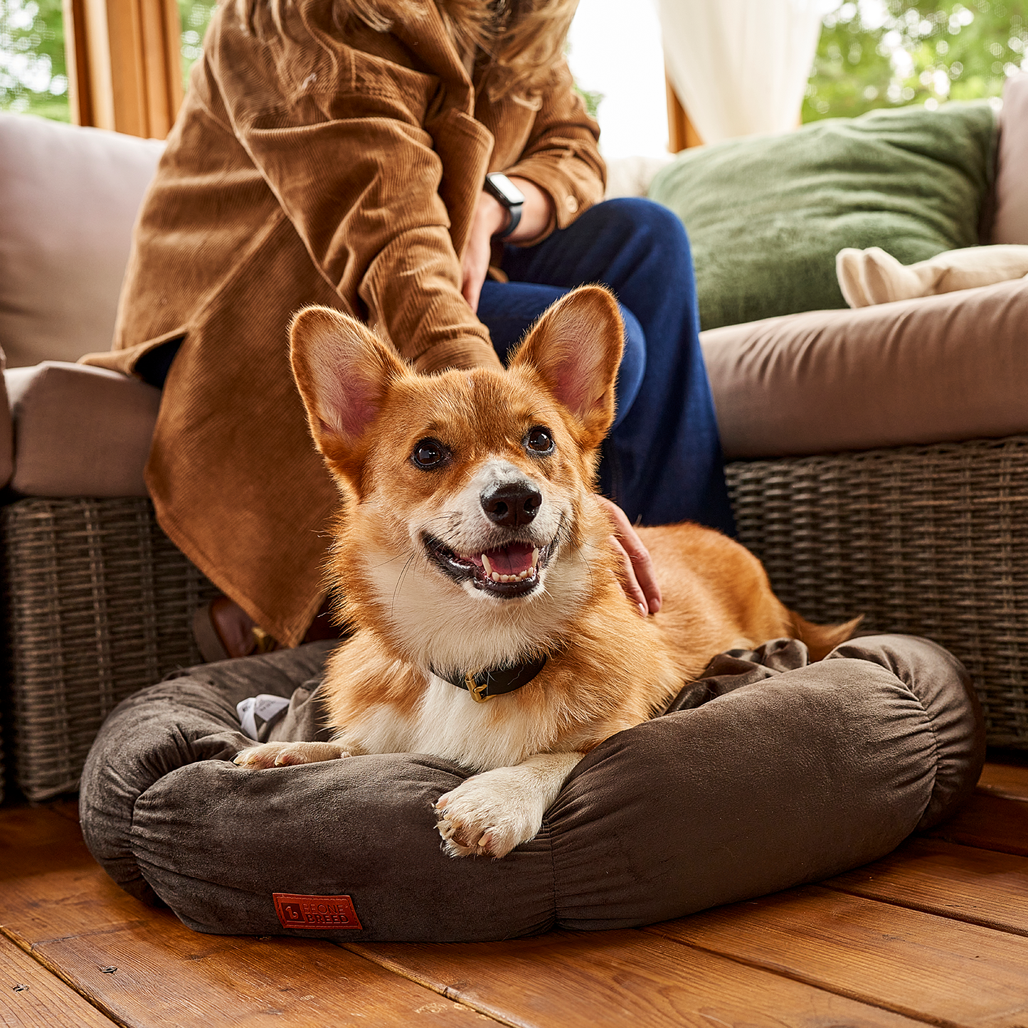 Lit douillet en velours pour chat et petit chien