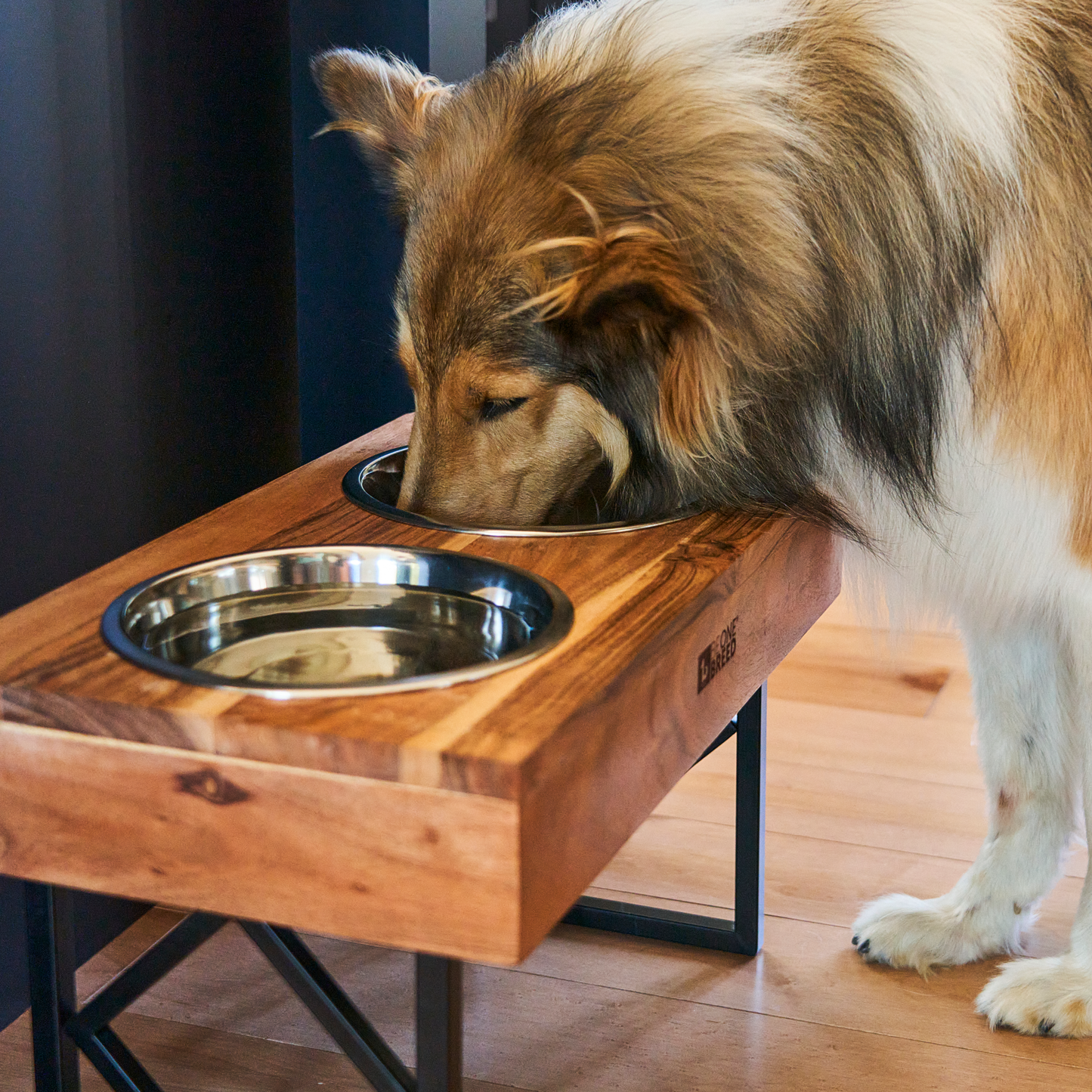 Bol double avec support ajustable