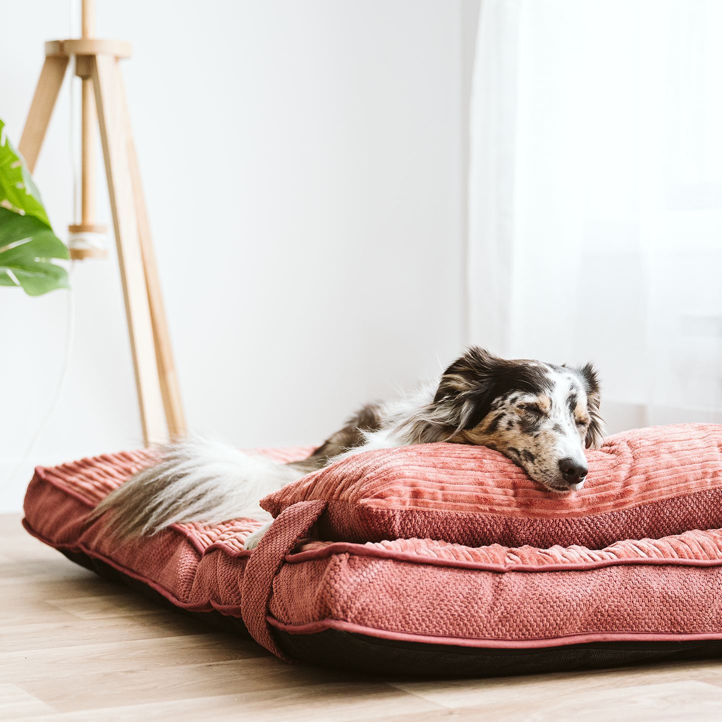 Dual comfort bed stylish spare cover, 2 sizes