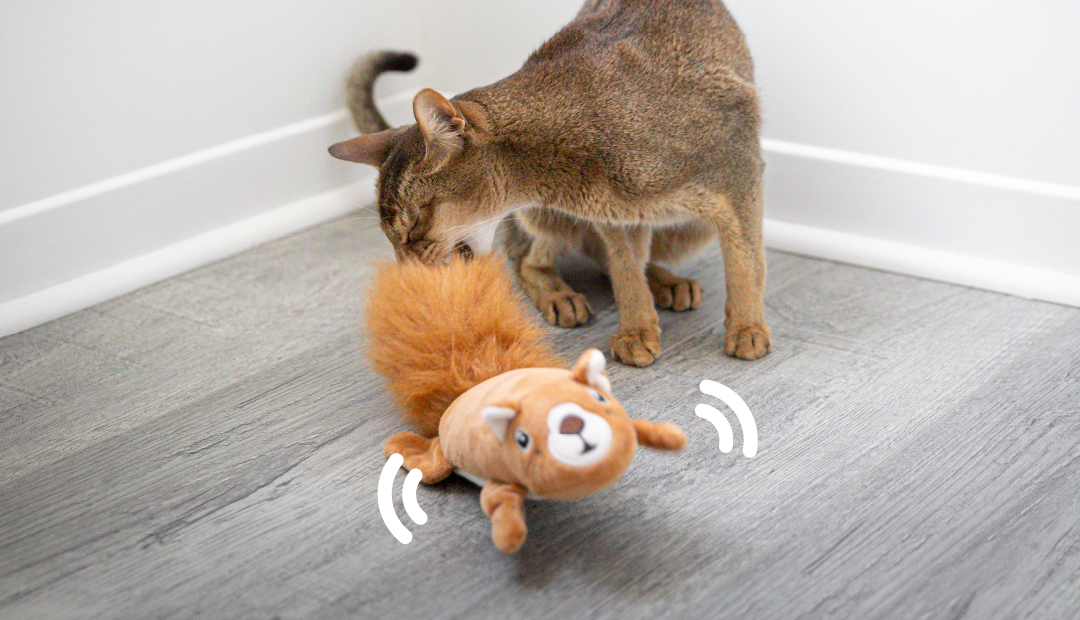 Electronic motion toy for cat, squirrel style