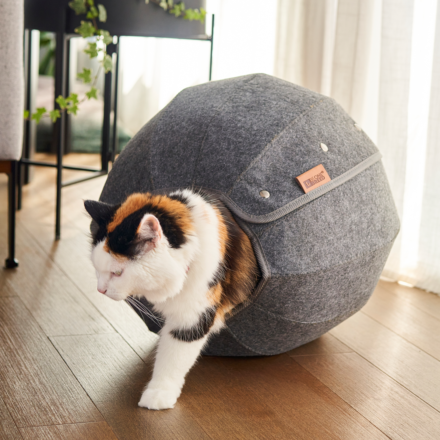 Sphere en feutre pour chat