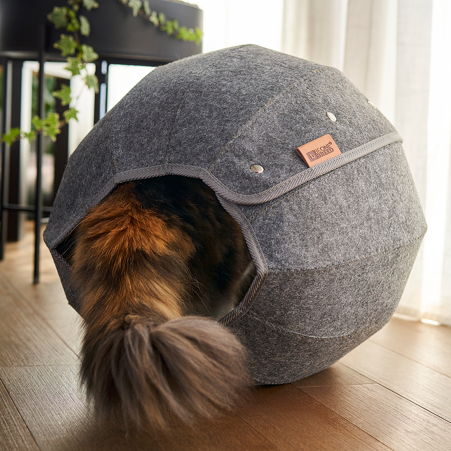 Sphere en feutre pour chat