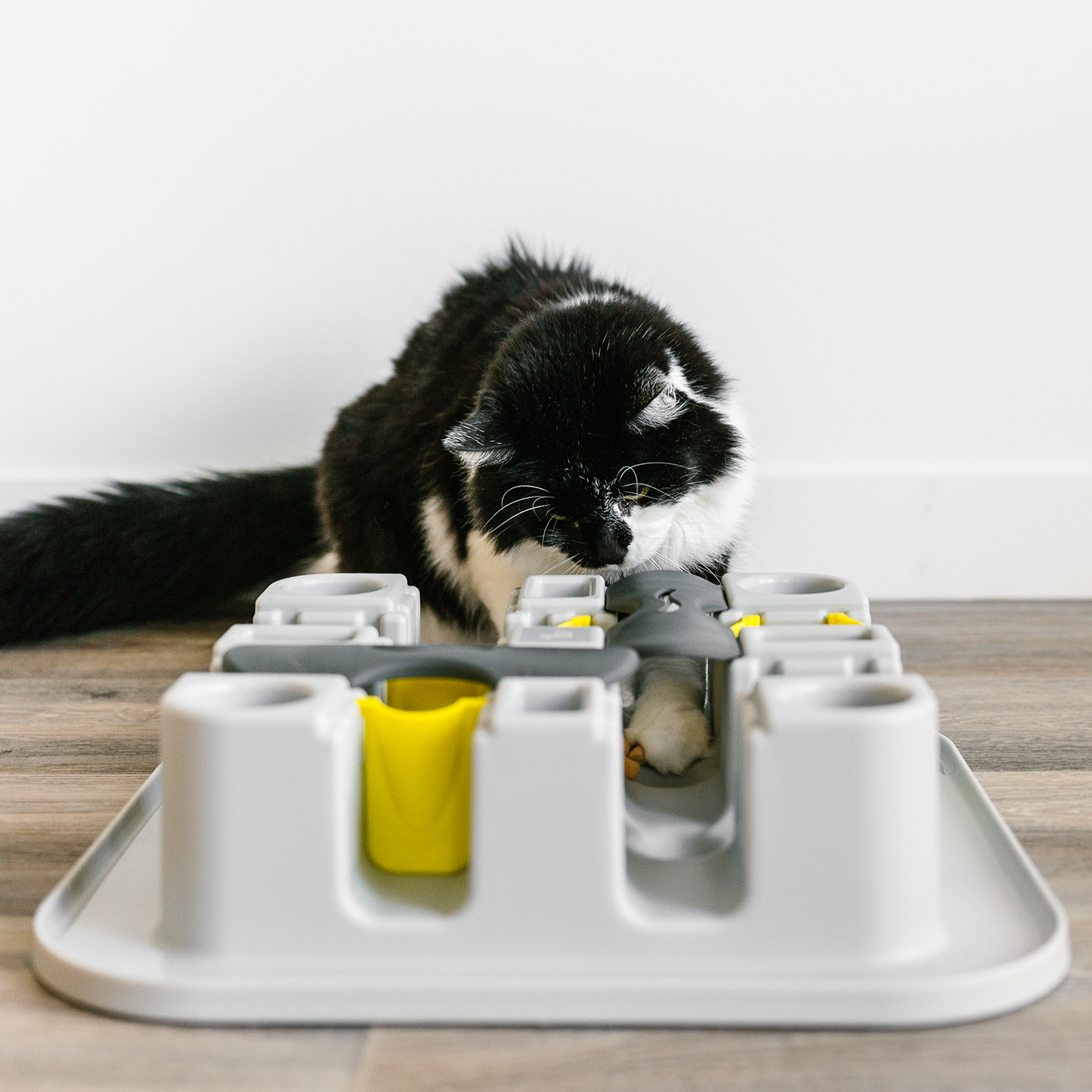 Cat maze interactive cat slow feeder