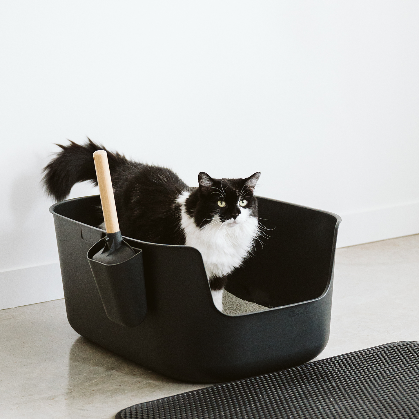 Grand bac à litière de luxe