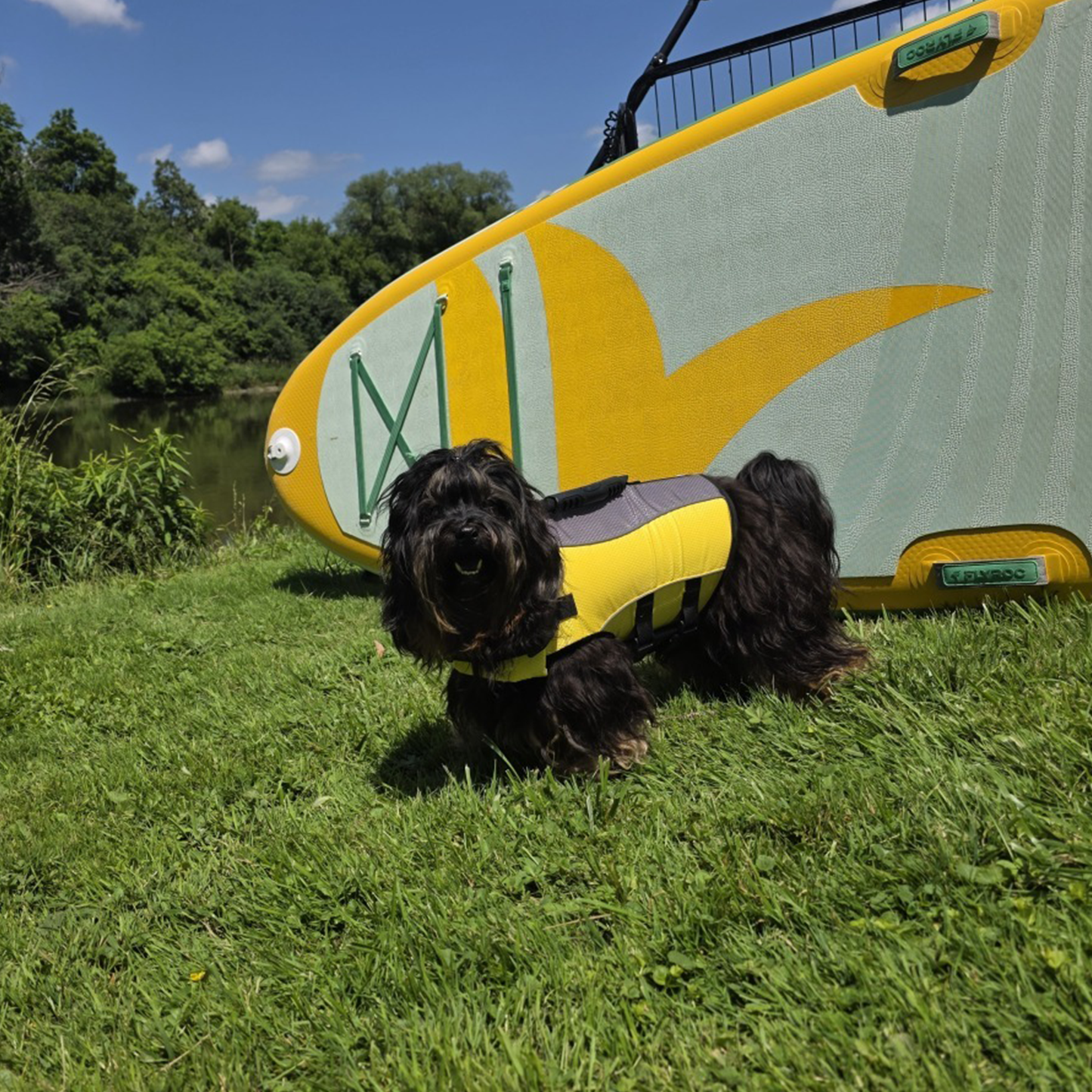 Dog life jacket