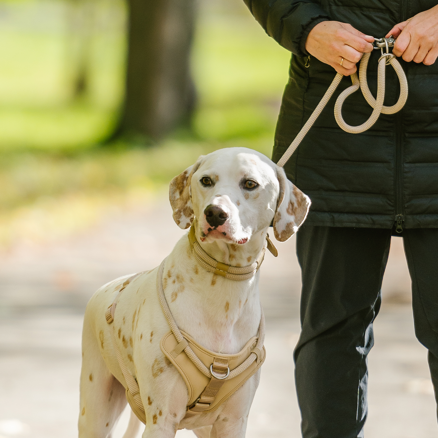 Collier corde de luxe