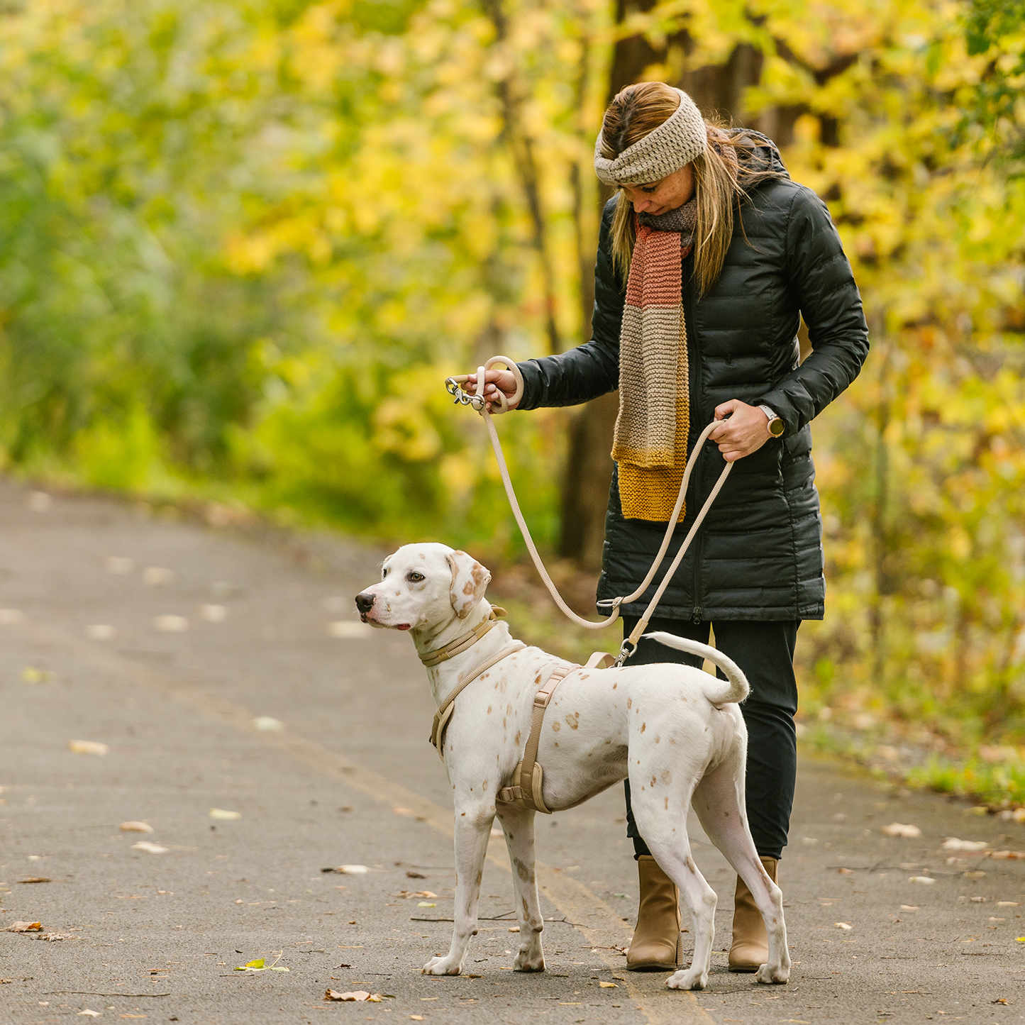 Harnais corde de luxe pour chien