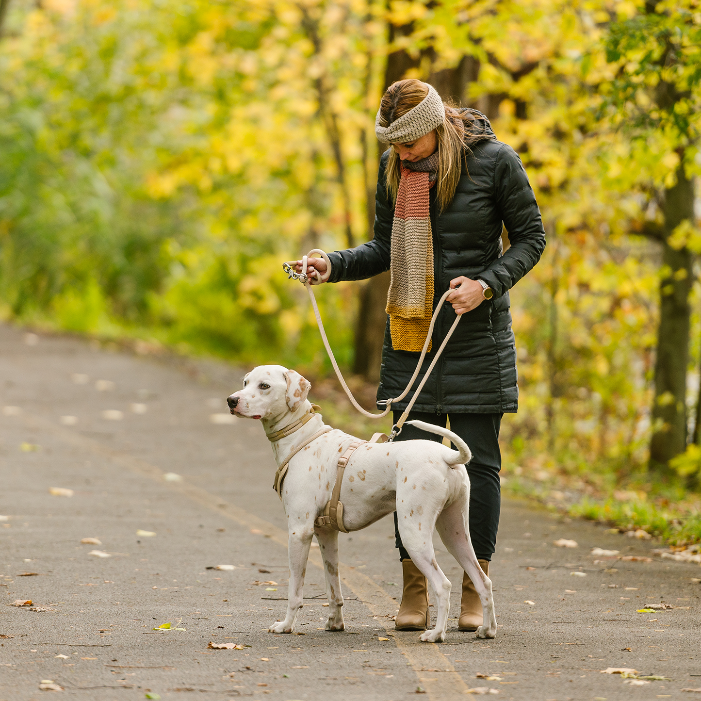 Laisse corde de luxe