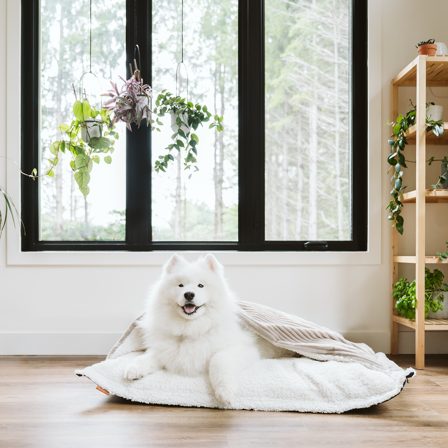 Coussin nuage caverne