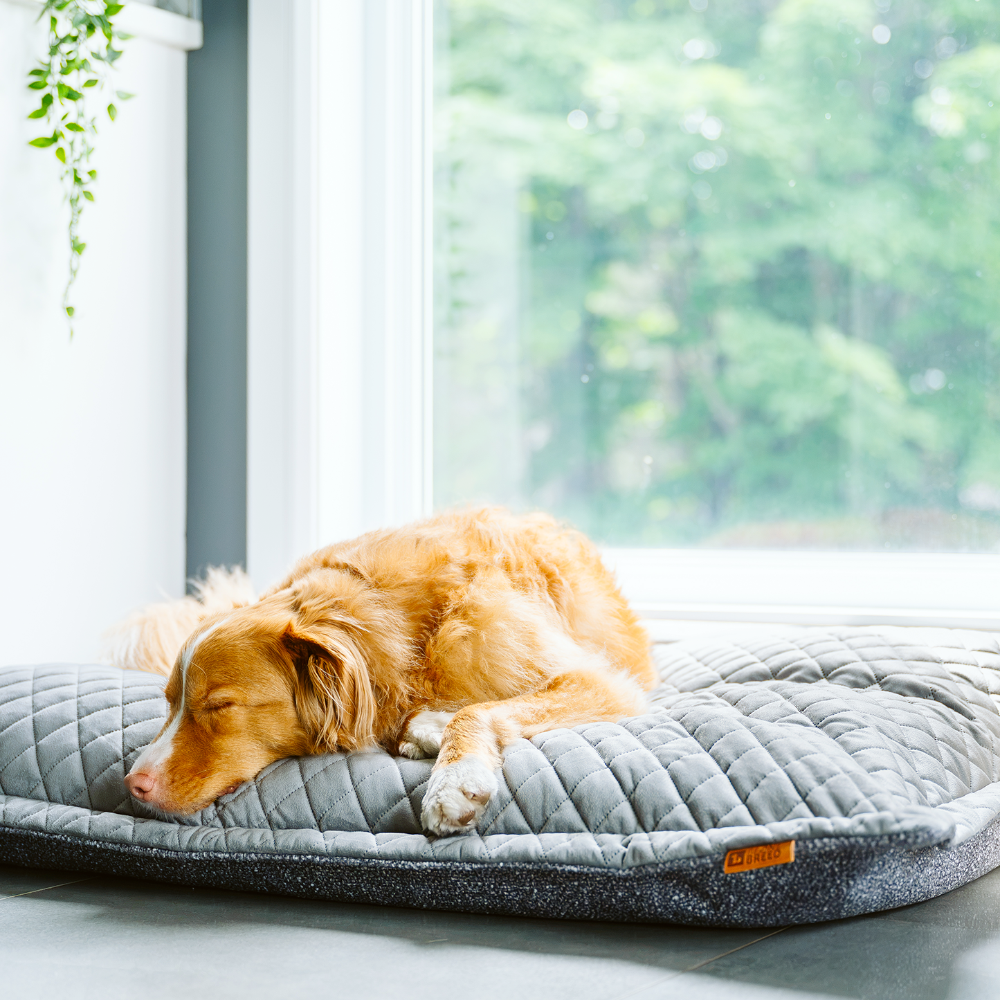 Bourrure coussin nuage sans housse