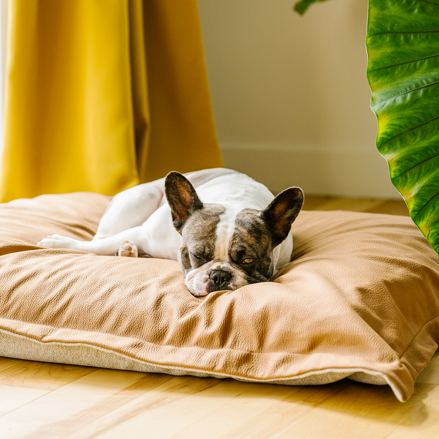Coussin nuage en mousse mémoire pour chien, 2 tailles