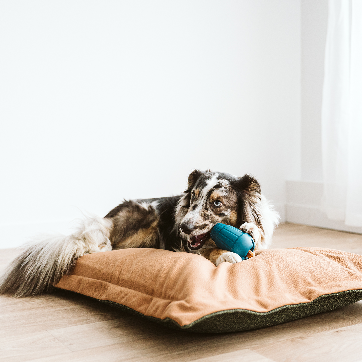 Coussin nuage en mousse mémoire pour chien, 2 tailles