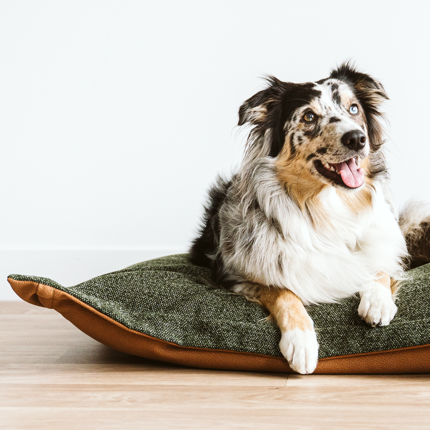 Coussin nuage en mousse mémoire pour chien, 2 tailles