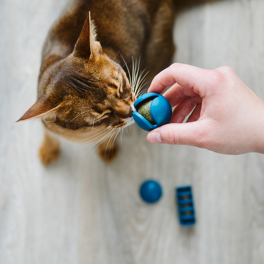 OBEE! Trio de jouets pour chat