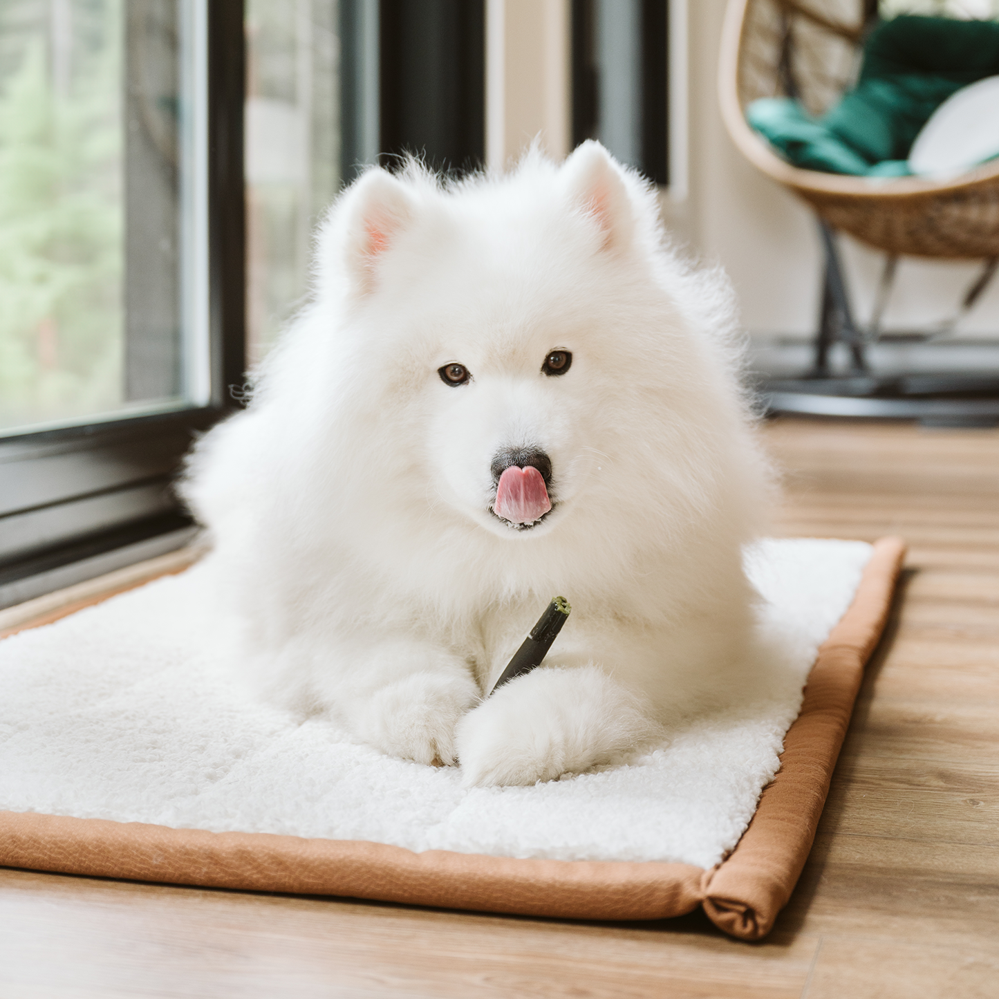 Tapis de luxe réversible, 2 tailles