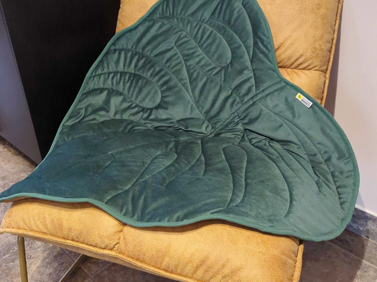 reversible mat for dog, green