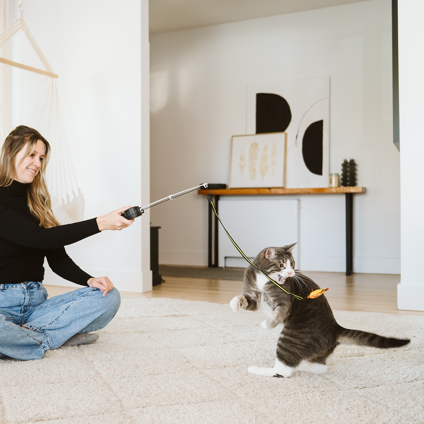 Retractable cat teaser