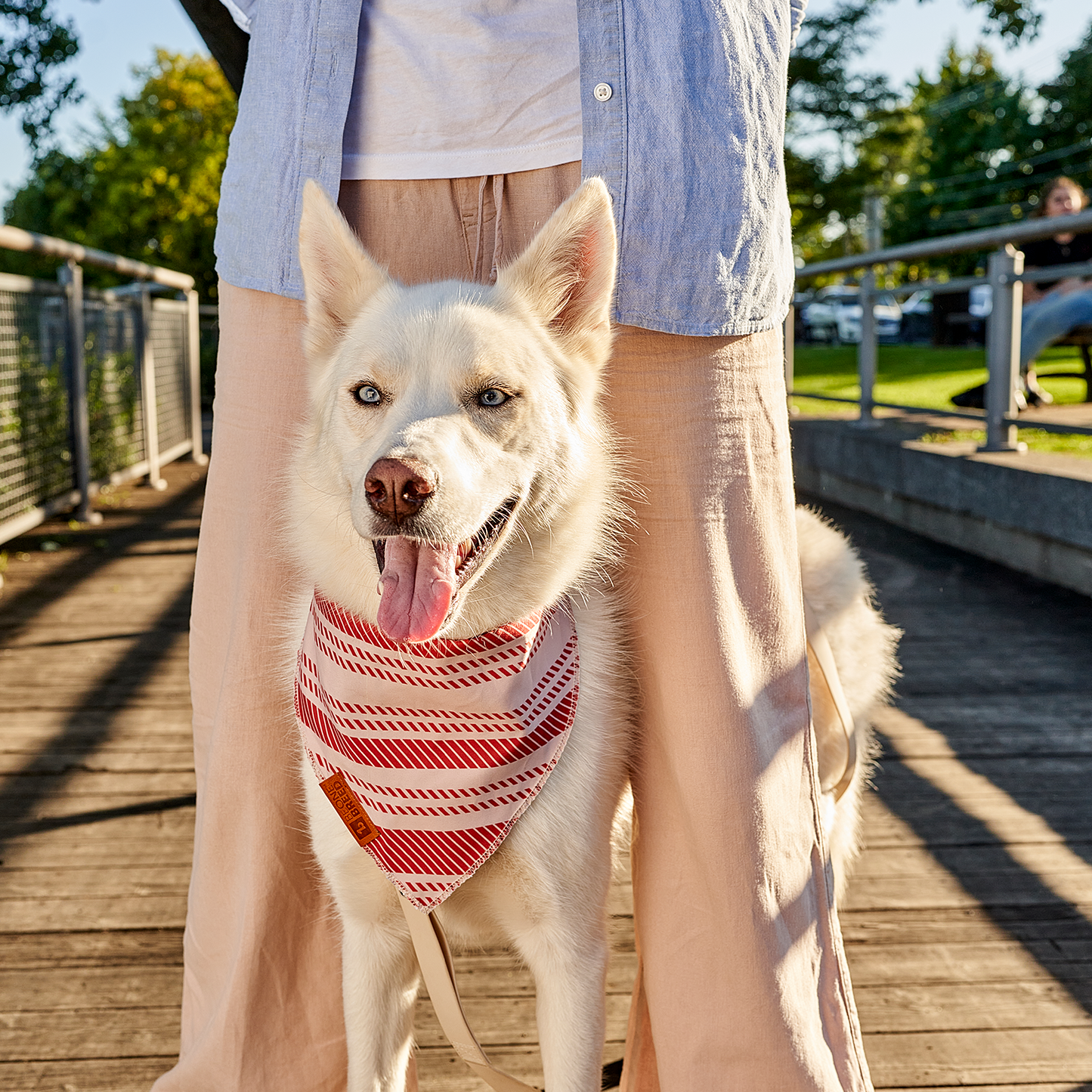 Reversible bandana for dogs