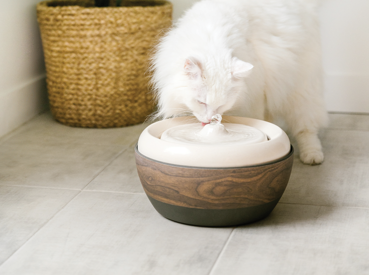 eco friendly water fountain for pet, bamboo