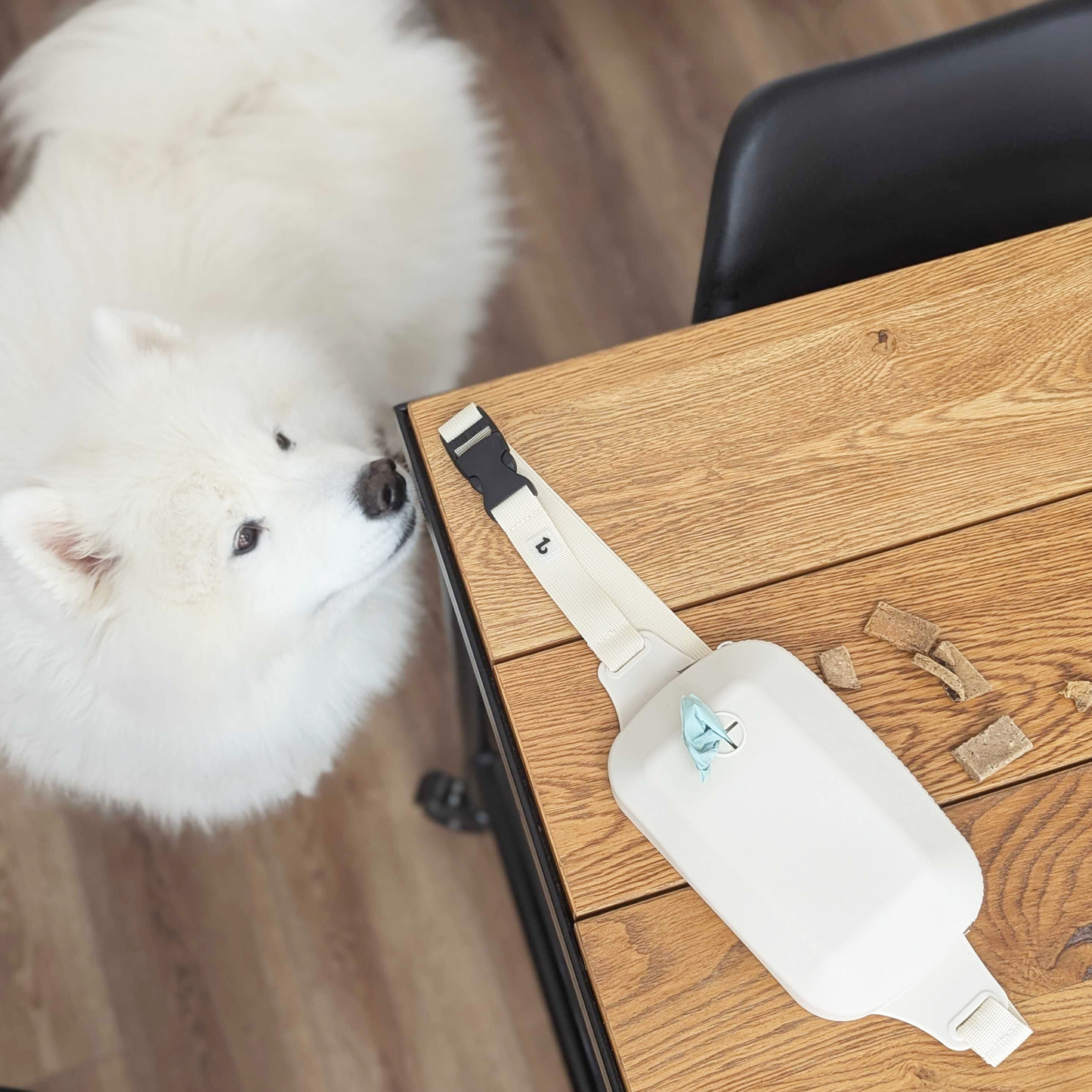 Silicone belt treat pouch