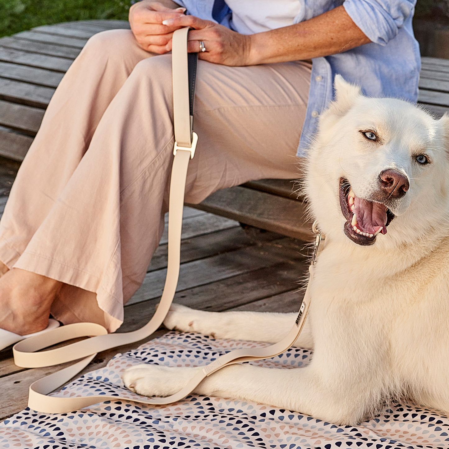 Laisse multifonction en silicone pour chien